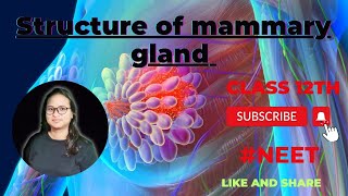 Structure of Mammary gland  female reproductive system [upl. by Philippa]