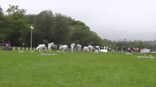 Glaskopfs Connemara Pony Quadrille [upl. by Bruis]