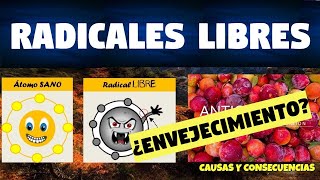 TODO SOBRE RADICALES LIBRES Y ANTIOXIDANTES  FUNCIONES Y CLASIFICACIÓN [upl. by Ttekcirc]