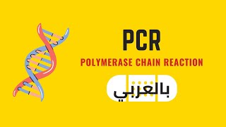 PCR Polymerase Chain Reaction شرح بالعربي [upl. by Heiney575]