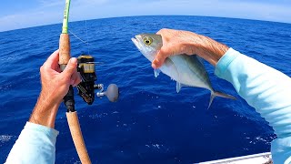 Epic Sight Fished Florida Marlin  This Bait Lasts About Two Seconds Tuna Catch n Cook [upl. by Sagerman]