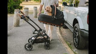 Tavo Pets  Expertly Engineered Pet Car Seats [upl. by Sitof997]