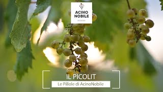 Il Picolit [upl. by Eenhpad]