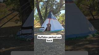 Native americans still live in teepees shorts funny nativeamerican indigenous comedy subscribe [upl. by Suoivatnom]