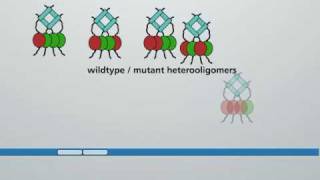 Molecular action of p53 in carcinogenesis [upl. by Imre166]