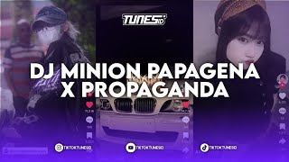 DJ MINION PAPAGENA X PROPAGANDA MASHUP BOOTLEG BY TUNES ID SOUND 8m ajih4bigail [upl. by Rubma]