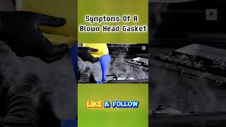 Blown Head Gasket 3 Warning Signs You Can’t Ignore Shorts CarProblems HeadGasketSymptoms [upl. by Asilahs]