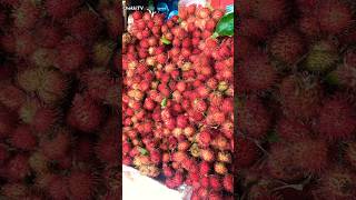 Rambutans the taste of province rambutan fruits shorts [upl. by Emilee]