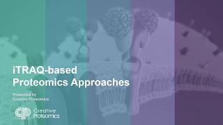 Proteomics Quantification iTRAQ [upl. by Onitnatsnoc721]