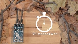 90 Seconds With Walrus Audio Fathom [upl. by Chicky94]