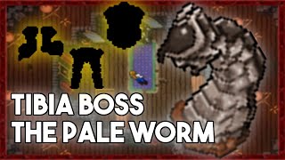 PL Tibia Boss  The Pale Worm Feaster of Souls Quest [upl. by Ellennej]