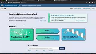 Analyzing Gene Sequence Results with BLAST [upl. by Lebasiairam]