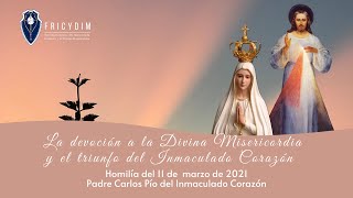 La devoción a la Divina Misericordia y el triunfo del Inmaculado Corazón [upl. by Air]