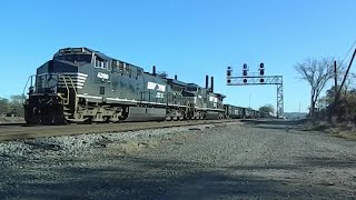 NS 4200 Leads Mixed Freight 11 22 2024 [upl. by Atnom]