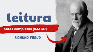 Fenomenologia Lacan Jung e Freud 15 [upl. by Janice812]