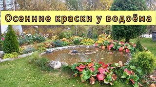 290924гОсенние краски у водоёма [upl. by Eico]