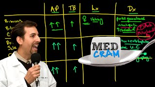 Liver Diseases Explained Clearly by MedCramcom  Cholestatic Disease [upl. by Keiko790]