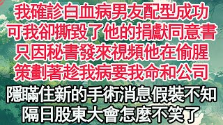 我確診白血病男友配型成功，可我卻撕毀了他的捐獻同意書，只因秘書發來視頻他在偷腥，策劃著趁我病要我命和公司，隱瞞住新的手術消息假裝不知，隔日股東大會怎麼不笑了【顧亞男】【高光女主】【爽文】【情感】 [upl. by Phipps]