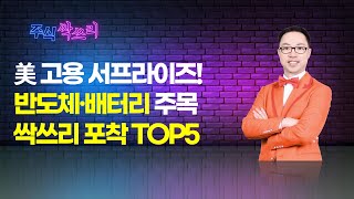 공명 정지우의 주식싹쓰리 美 고용 서프라이즈 반도체·배터리 주목 싹쓰리 포착 TOP5  머니투데이방송 증시 증권 [upl. by Chubb]