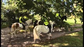 Dixielanders uk at margam park with Martin Clunes [upl. by Joachim]