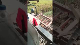 Swaraj 855 4x4 on cultivator power check karo automobile swaraj855 855loverz farming nishu [upl. by Budwig]