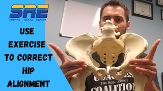 Hip Alignment Exercises [upl. by Cutlor]