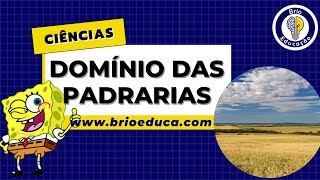 Domínio morfoclimático das pradarias  Brio Educação [upl. by Farlee686]