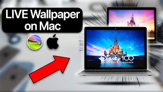 How to set Live Wallpaper on Mac in 2024 [upl. by Venterea895]