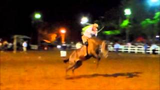 Rodeio de Charqueadas 2016  Semifinal e Final [upl. by Imelda]