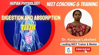 Digestion and Absorption HUMAN DENTITION  Dr Kanaga Lakshmi  NEET Biology 2023  NEET Coaching [upl. by Erlinna177]