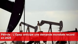 Pétrole  L’Opep anticipe une demande mondiale record en 2025 [upl. by Hgielra]