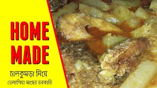 Tilapia fish recipe  Chal kumro recipe  Chalkumra diye telapiya macher ranna  Tilapia Fish Curry [upl. by Salangi375]