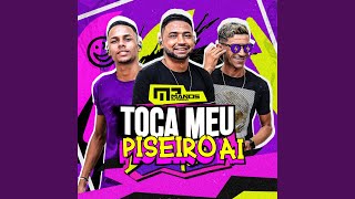 Toca Meu Piseiro Ai Remix [upl. by Noiramaj732]