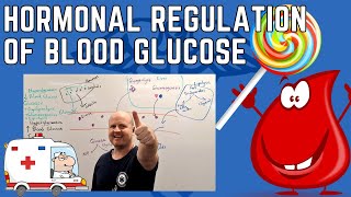 Hormonal Control of Blood Glucose Hyperglycaemia and hypoglycaemia Glucagon and Insulin [upl. by Nahtnamas80]