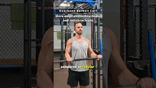 Build Bigger Forearms With The Overhand Curl shorts fitness [upl. by Elidad126]