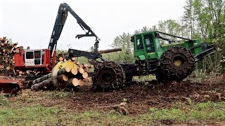 Logging 4 Acres of Old Pasture to Make It New Again from Start to Finish [upl. by Berty]