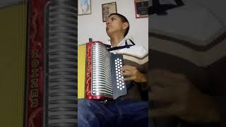 Radicamos en south central Acordeon Cover [upl. by Fionnula]