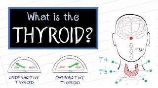 What is Thyroid Disease HealthSketch [upl. by Hsemar]