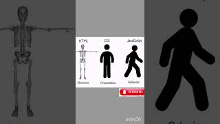 Comparing HTML CSS amp JavaScript [upl. by Freda667]