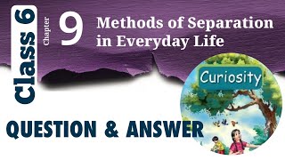 Method OF Separation In Everyday Life Chapter9 Science Curiosity Class6 NCERT [upl. by Britt]