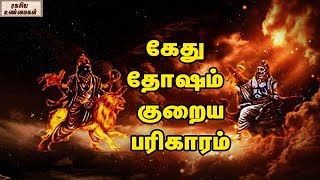 Rahu Ketu Dhosham And Pariharam  Unknown Facts Tamil [upl. by Packston166]