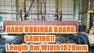 HARD BUBINGA SAWING 6M [upl. by Enialedam]