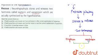 Assertion Neurohypophysis is under the direct regulation of the hypothalamus [upl. by Poock]