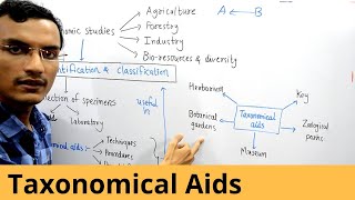 Taxonomical Aids  Class 11 NCERT [upl. by Anasxor]