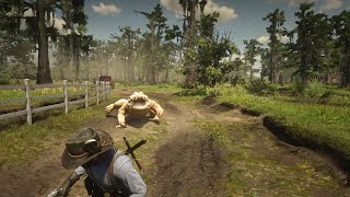 RDR2  The legendary Bullgators heart attack [upl. by Nilesoj]