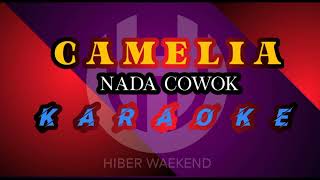 CAMELIA  karaoke nada pria  RHOMA IRAMA [upl. by Aicrop]