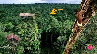 Suku Korowai Pemilik Rumah Pohon Tertinggi di Papua Indonesia [upl. by Lindbom]