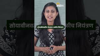 Soybean Pest  सोयाबीन केसाळ अळी  उपाय  Agrowon [upl. by Bebe]