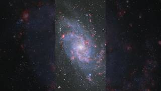 49 hours of exposure of the Triangulum Galaxy M33 traingulum galaxy space telescope [upl. by Annotahs652]