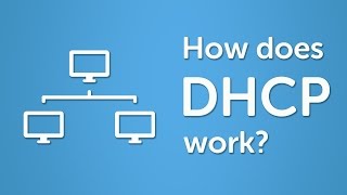 DHCP Explained  Step by Step [upl. by Adnamahs]